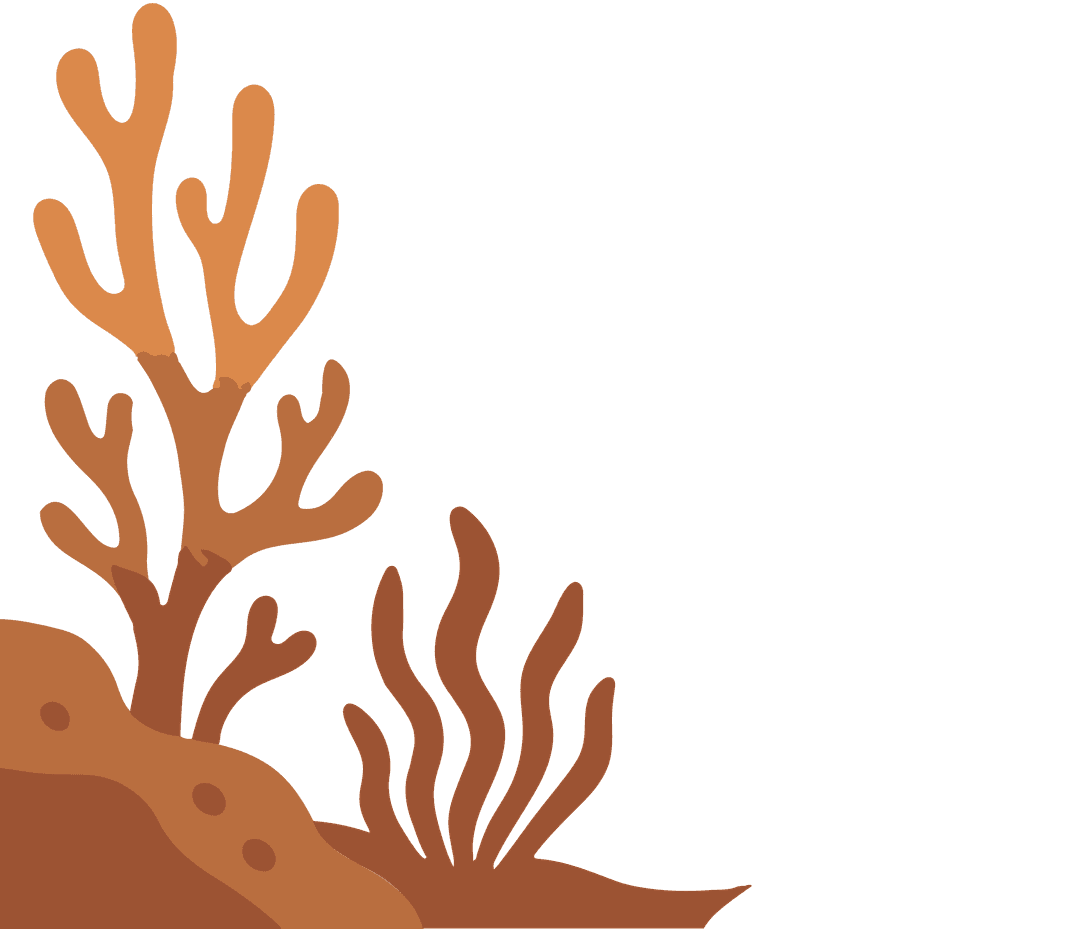 Decorative coral