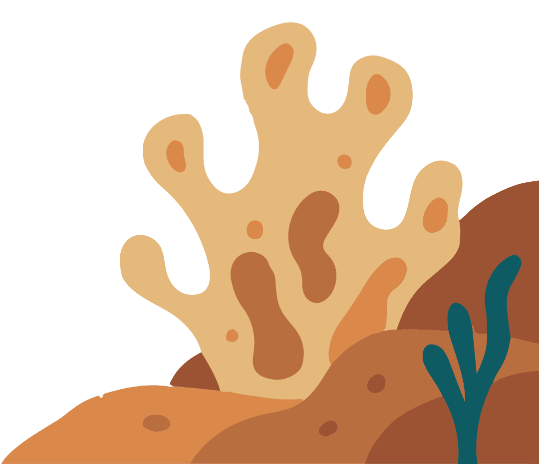 Decorative coral